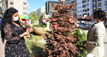 Toroslar Belediyesinden ‘şiddete hayır’ etkinliği