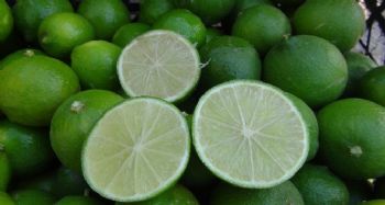 Bu limonun kilosu bahçede 10, markette 45 lira