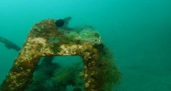 Mersin sahilleri müsilaj tehlikesi altında