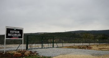 MEZİTLİ BELEDİYESİ’NDEN HAYVAN MEZARLIĞI 