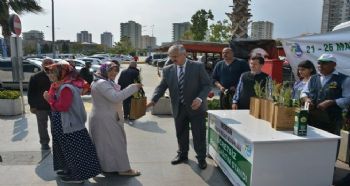 YÜZLERCE FİDAN ÜCRETSİZ DAĞITILDI