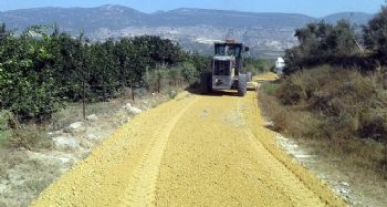 Akdeniz Belediyesi, üreticiler için yeni tarım yolları açıyor