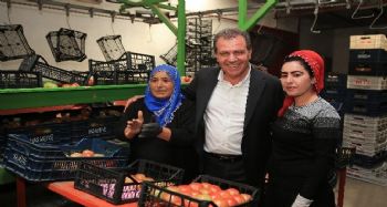 Büyükşehir Beledediyesi'nden üretici kooperatifçiliğine destek