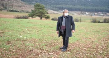 Tarsus'ta ‘ata tohumu’ projesi toprakta hayat buldu