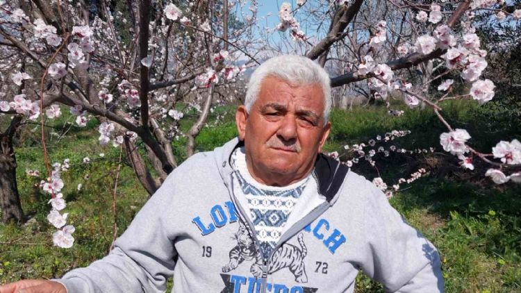 Mut’ta kayısı ağaçları adeta gelinliğe büründü