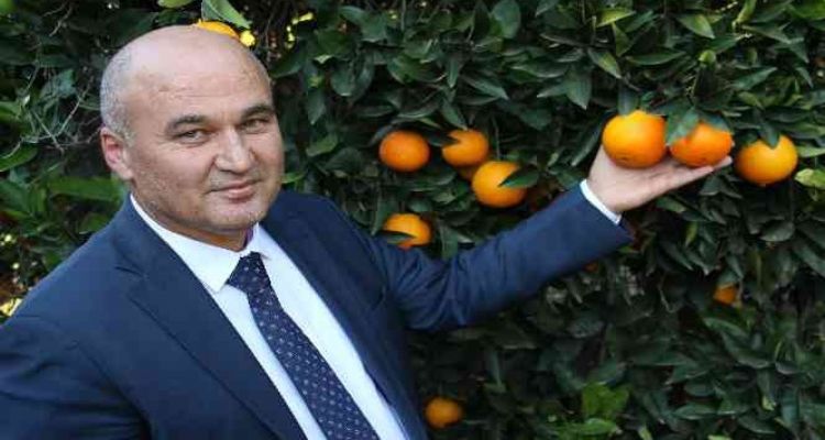 Mersin'de portakalda hasat başladı