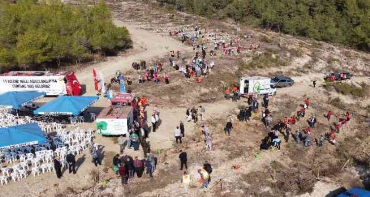 Mersin'de sazlı sözlü fidan dikimi