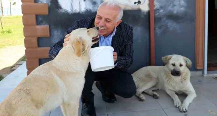 Akdeniz'de can dostlara özel etkinlik