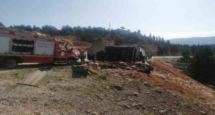 Tır devrildi, 60 hayvan telef oldu