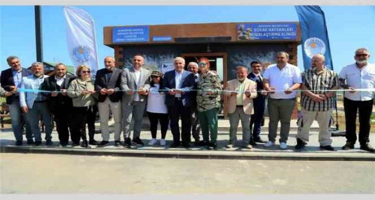 Akdeniz'de 1 yılda bini aşkın hayvan kısırlaştırıldı