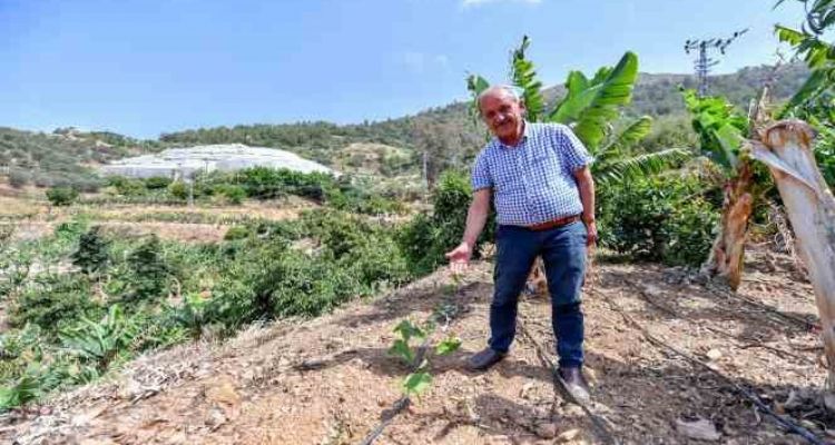 Mersin'de üreticilere passiflora fidesi desteği