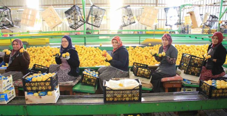 Hasattan paketlemeye her alanda kadınlar mesaide