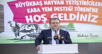 Mersin’de büyükbaş hayvan yetiştiricilerine yem desteği