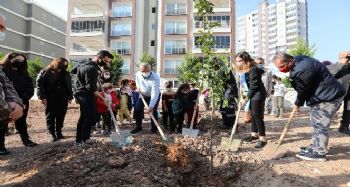 Mezitli'de turunç koruluğu açıldı