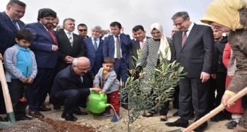BAKAN ELVAN, ‘ZEYTİN DALI HAREKATI’ ŞEHİTLERİ İÇİN FİDAN DİKTİ