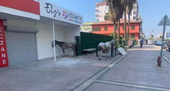 Mersin'de kısıtlamanın sessizliği nal sesleriyle bozuldu