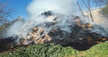 Tarsus'ta 30 ton saman kül oldu