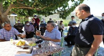 İncirde 7 bin ton rekolte bekleniyor