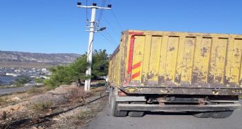 Mersin'e sokulmak istenilen bir kamyon köpek geri gönderildi
