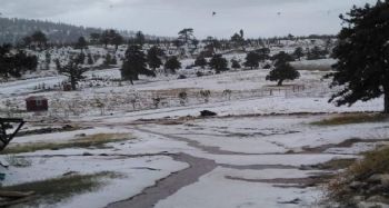 KAR DEĞİL DOLU