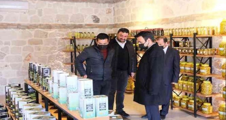 Mut'tan Hollanda'ya zeytin ve yöresel ürün ihracatı