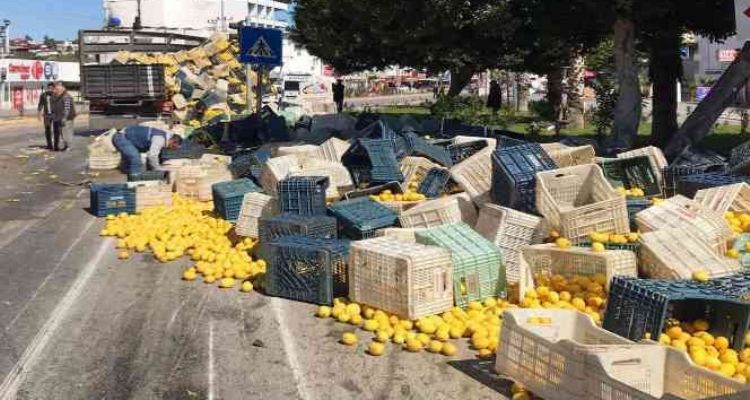 Kamyonun kasası yan yattı, limonlar etrafa saçıldı