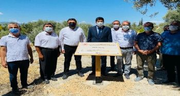 1300 yıllık anıt ağacına sahip Mut'a 3 anıt ağaç daha tescillendi