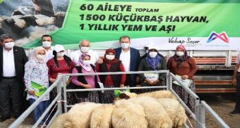 Mersin'de 60 üreticiye bin 500 küçükbaş hayvan desteği sağlandı