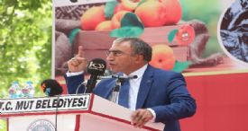 ALMAN MECLİSİNE SERT TEPKİ