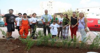 İtalya'dan Mezitli'ye övgü