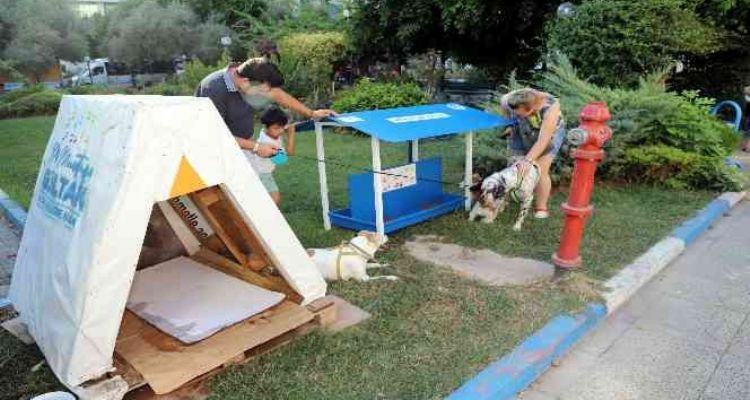 MEÜ’DE KÖK HÜCRE VE REJENERATİF TIP SEMPOZYUMU