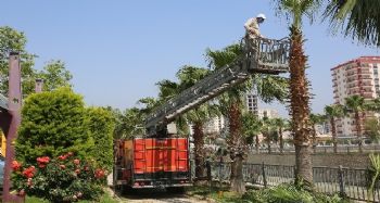 Erdemli'de sahil bandı ve parklar yaza hazırlanıyor