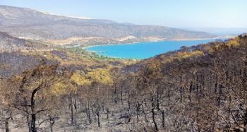 Silifke'de orman yangını devam ediyor