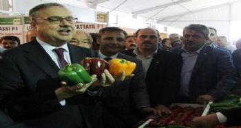 MERSİN’DE ‘BİBER ÇEŞİTLERİ TANITIM GÜNLERİ FUARI’ AÇILDI