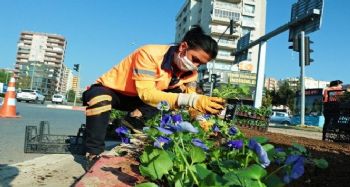 Mersin'de 430 bin çiçek toprakla buluştu