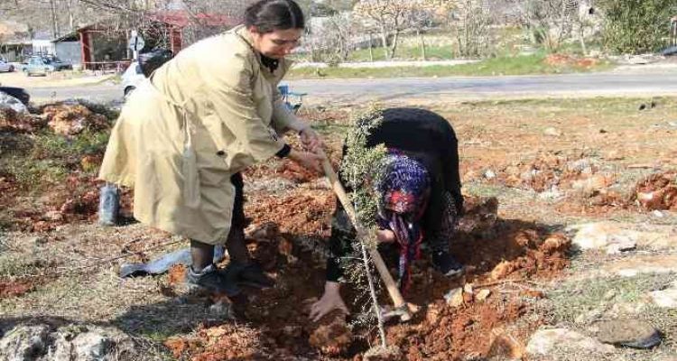 Şehitler adına iki orman kuruldu, ilk fidanları aileleri dikti