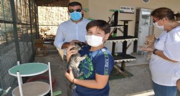 Mersin'deki hayvan barınağında 31 hayvan sahiplendirildi