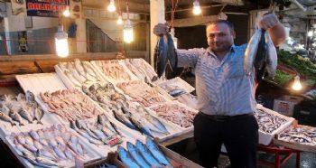 AV YASAĞININ KALKMASIYLA TEZGAHLAR DOLDU, FİYATLAR YARIYA DÜŞTÜ