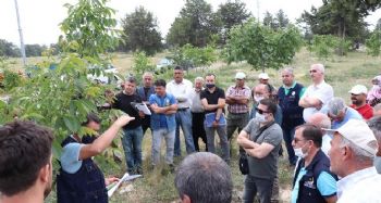 Mersin'de vatandaşlara fidan ve ağaç bakımı eğitimi