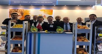 MTSO, Fruit Logistica Fuarı'nda yerini aldı
