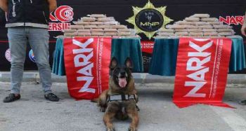 Mersin Limanı'nda ele geçirilen 60 kilo kokain sergilendi