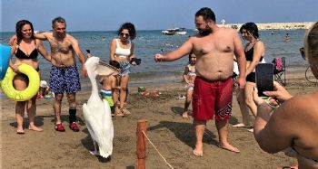 Tatilcilere renk katan pelikanlarla 25 yıllık dostluk