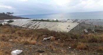 MERSİN'DE SERALARI HORTUM VURDU