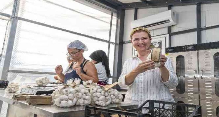 50 yıllık ata tohumu, Mersinden Kadın Kooperatifi ile sofralarda yerini aldı