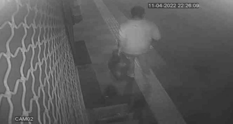Caminin ses sistemini çaldı