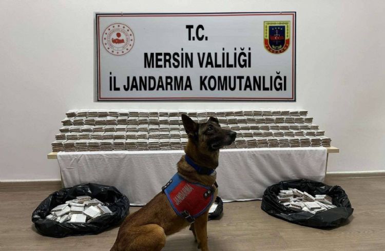 Mersin’de 61 bin 700 adet kaçak makaron ele geçirildi