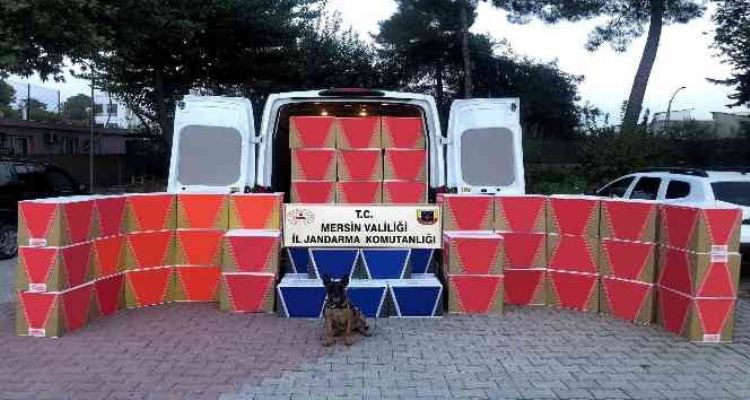 Mersin'de 630 bin adet kaçak makaron ele geçirildi