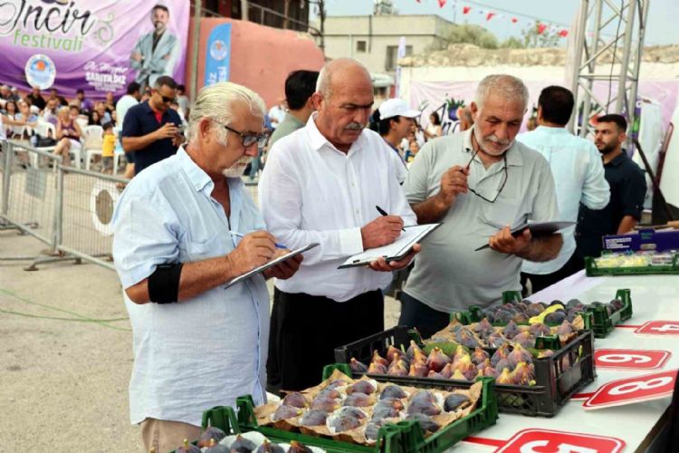 Mersin’de ‘Bağlarbaşı İncir Festivali’ düzenlendi