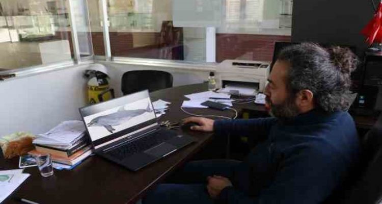 Uzmanından korkutan uyarı: Yunus balıkları, önlem alınmazsa nesli tükenme tehlikesi altına girebilir