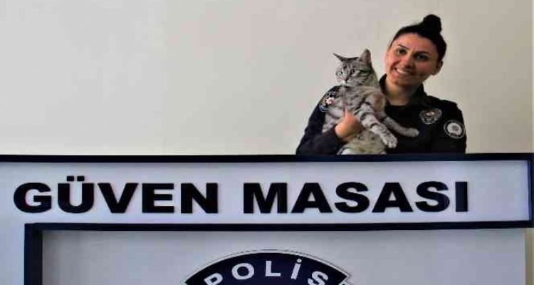 Polisin şefkati, kaza geçiren kediyi yaşama bağladı